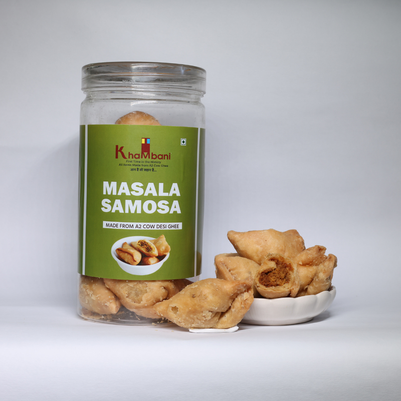Masala Samosa