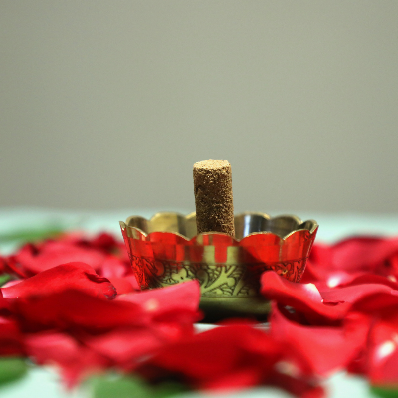 Rose Dhoop - hover