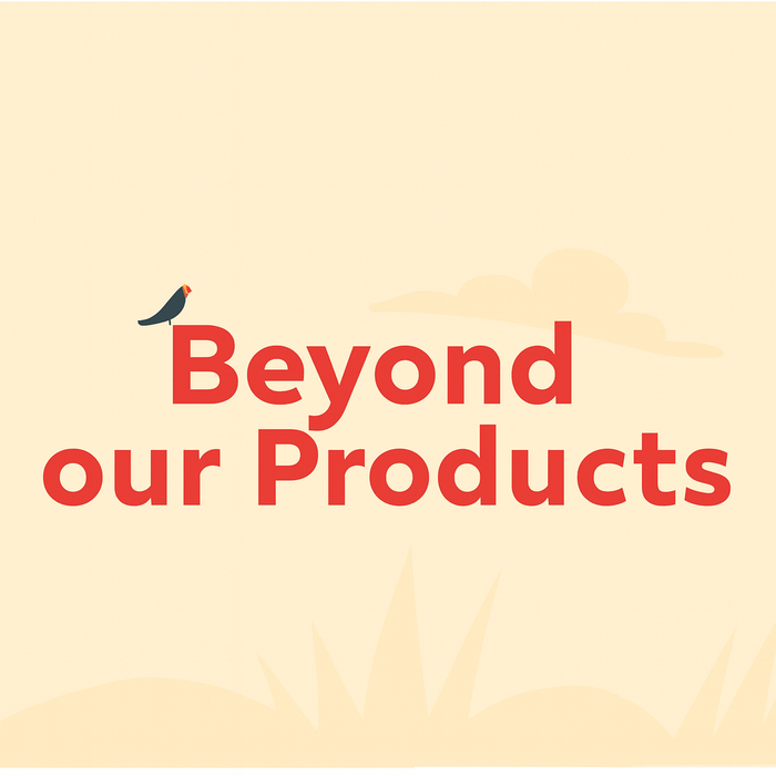 Beyond Our Products